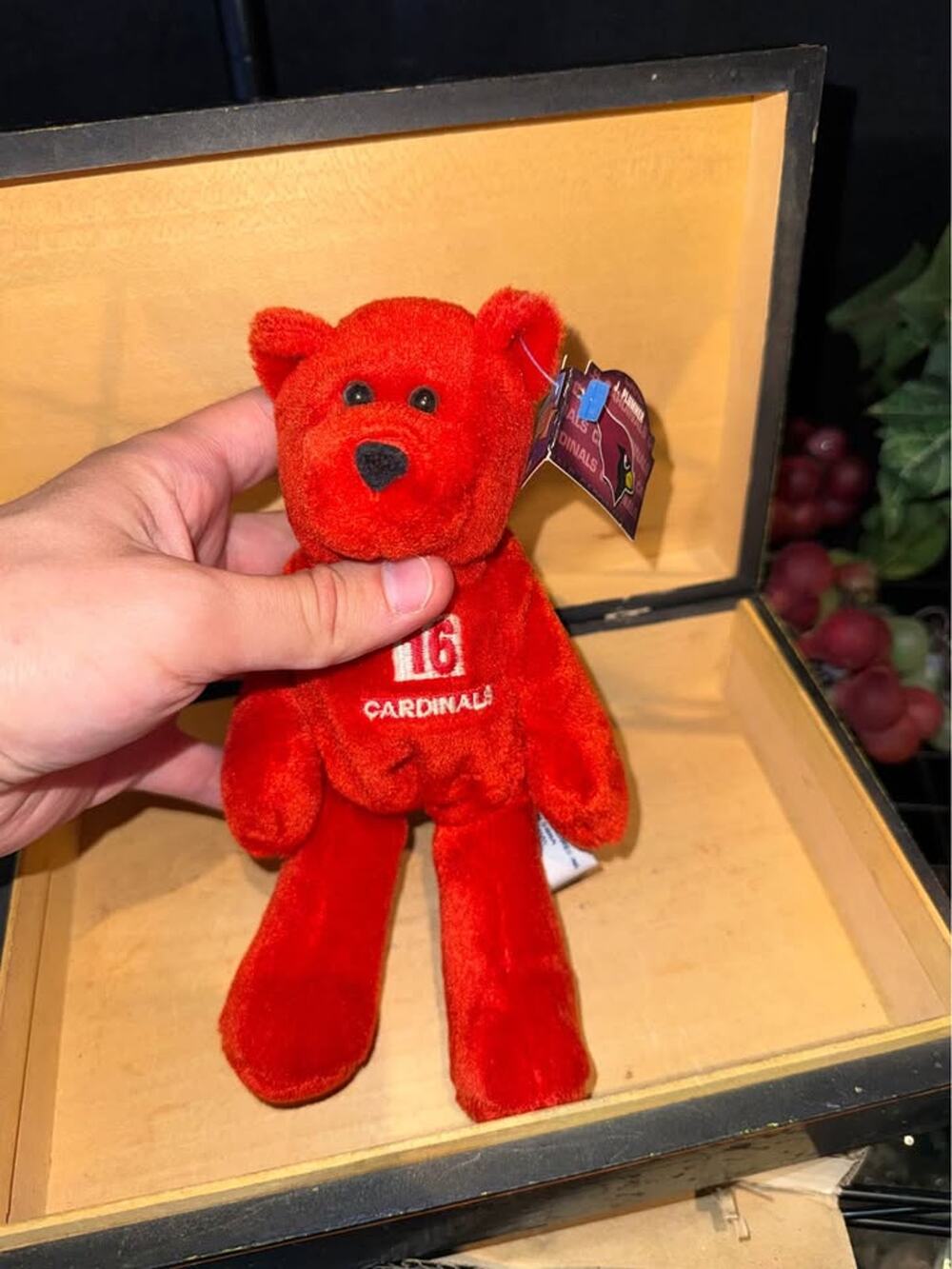 Limited Treasures 1998 Arizona Cardinals Jake Plummer #16 Teddy Bear